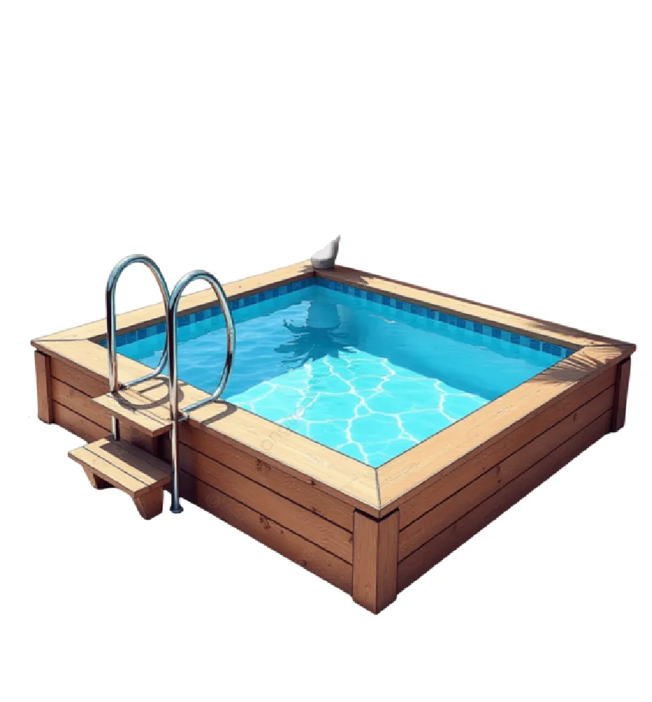 Swimming Pool Cleaning